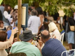 Festival Mar de Tethys 2026 - Bodega Vetas